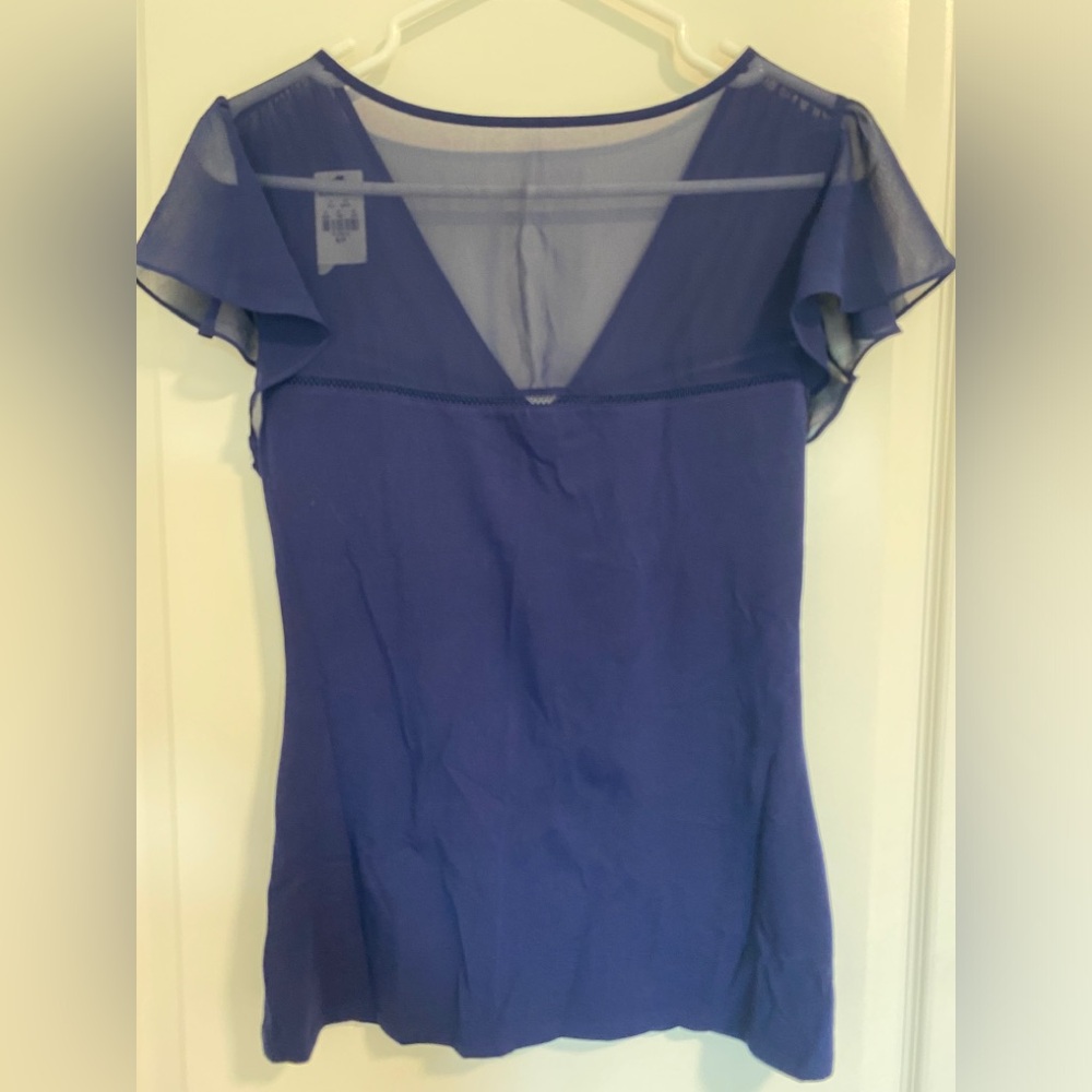 Royal blue sheer V-neck top
